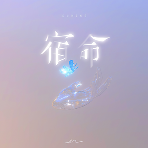 丰满老熟妇BBBBB搡BBB
