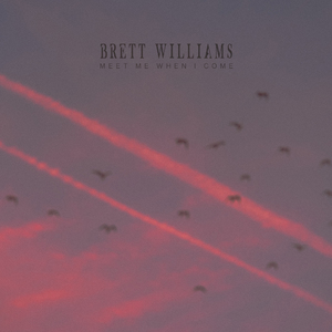 丰满老熟妇BBBBB搡BBB
