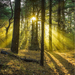 丰满老熟妇BBBBB搡BBB
