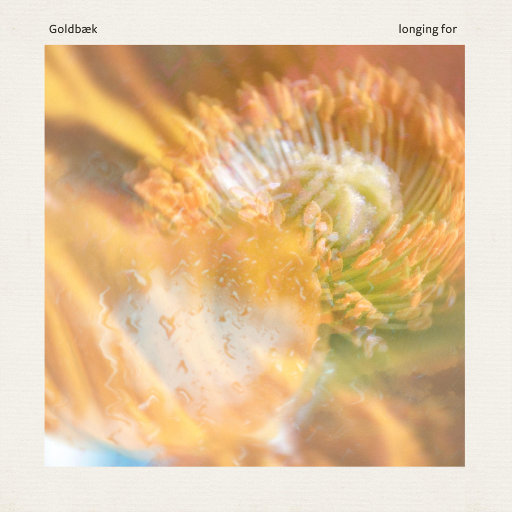 丰满老熟妇BBBBB搡BBB
