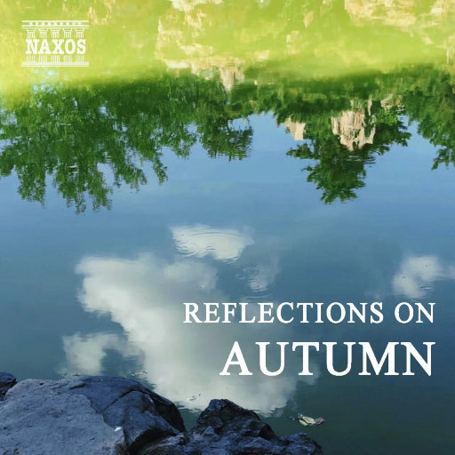 丰满老熟妇BBBBB搡BBB
